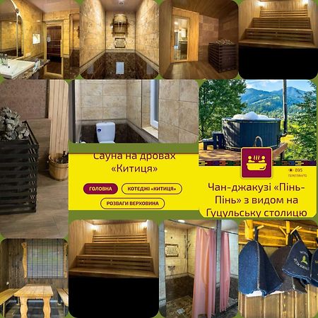 Hotel Kitica House à Verkhovyna Extérieur photo